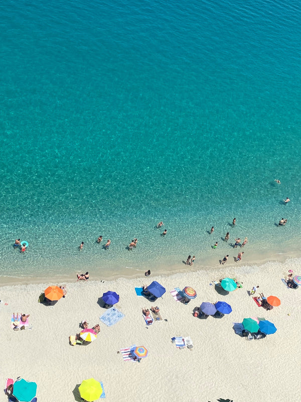 The Secret of the South