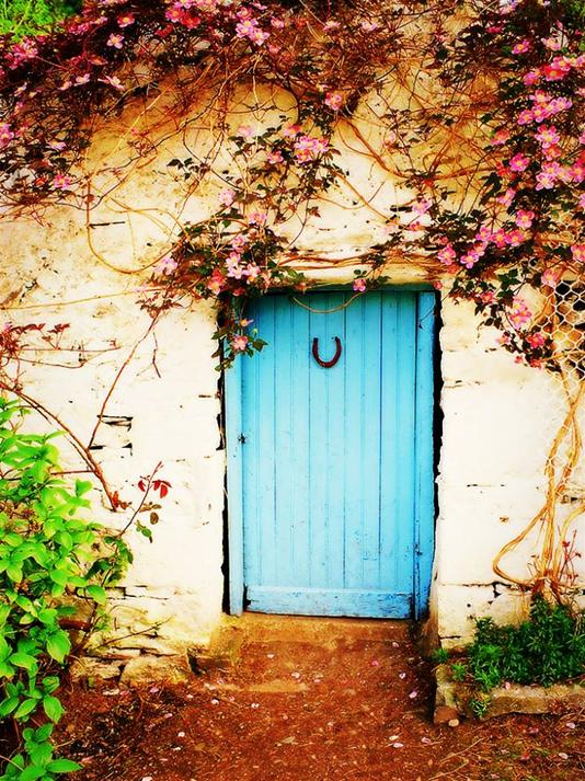 A bright blue wooden door set in a weathered stone wall, framed by pink flowering vines and a horseshoe above the door, with green foliage nearby and a dirt path leading up to the entrance.