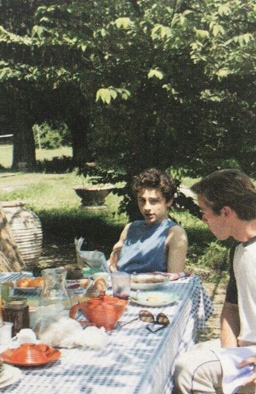 Two young men sit at a checkered table outdoors, partially covered with food and drinks. Trees and greenery fill the background, creating a relaxed, sunny picnic atmosphere.