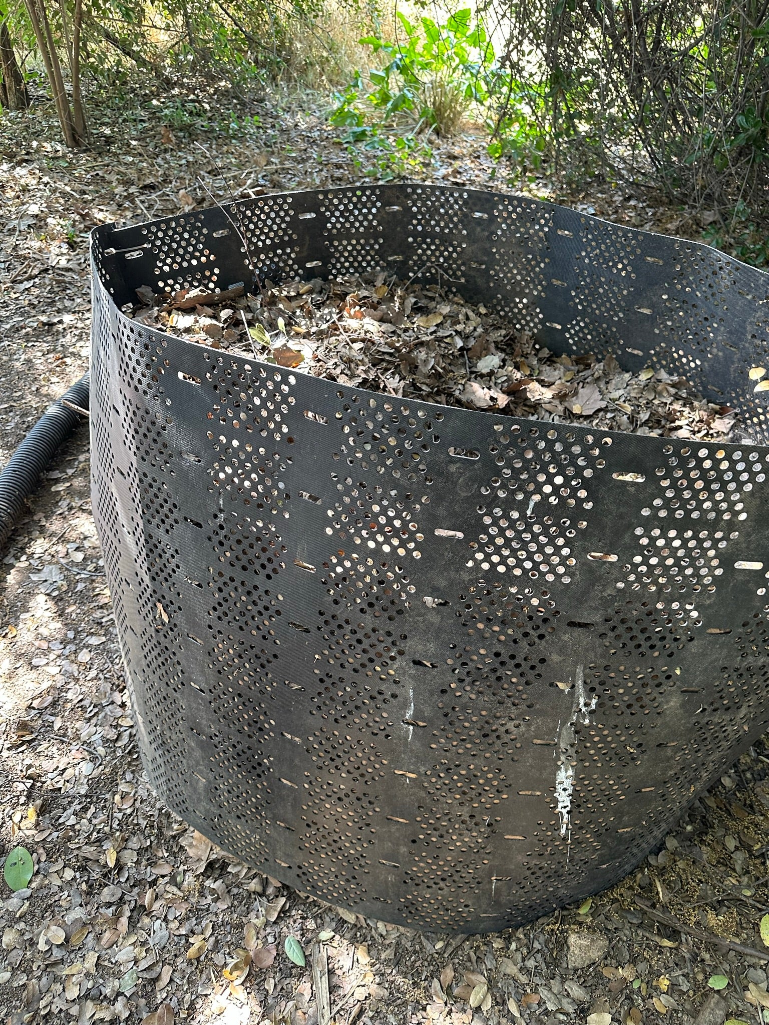A large, black, perforated metal cylinder filled with dry leaves is outdoors on the ground, surrounded by dirt and leafy debris, with bushes and trees in the background.