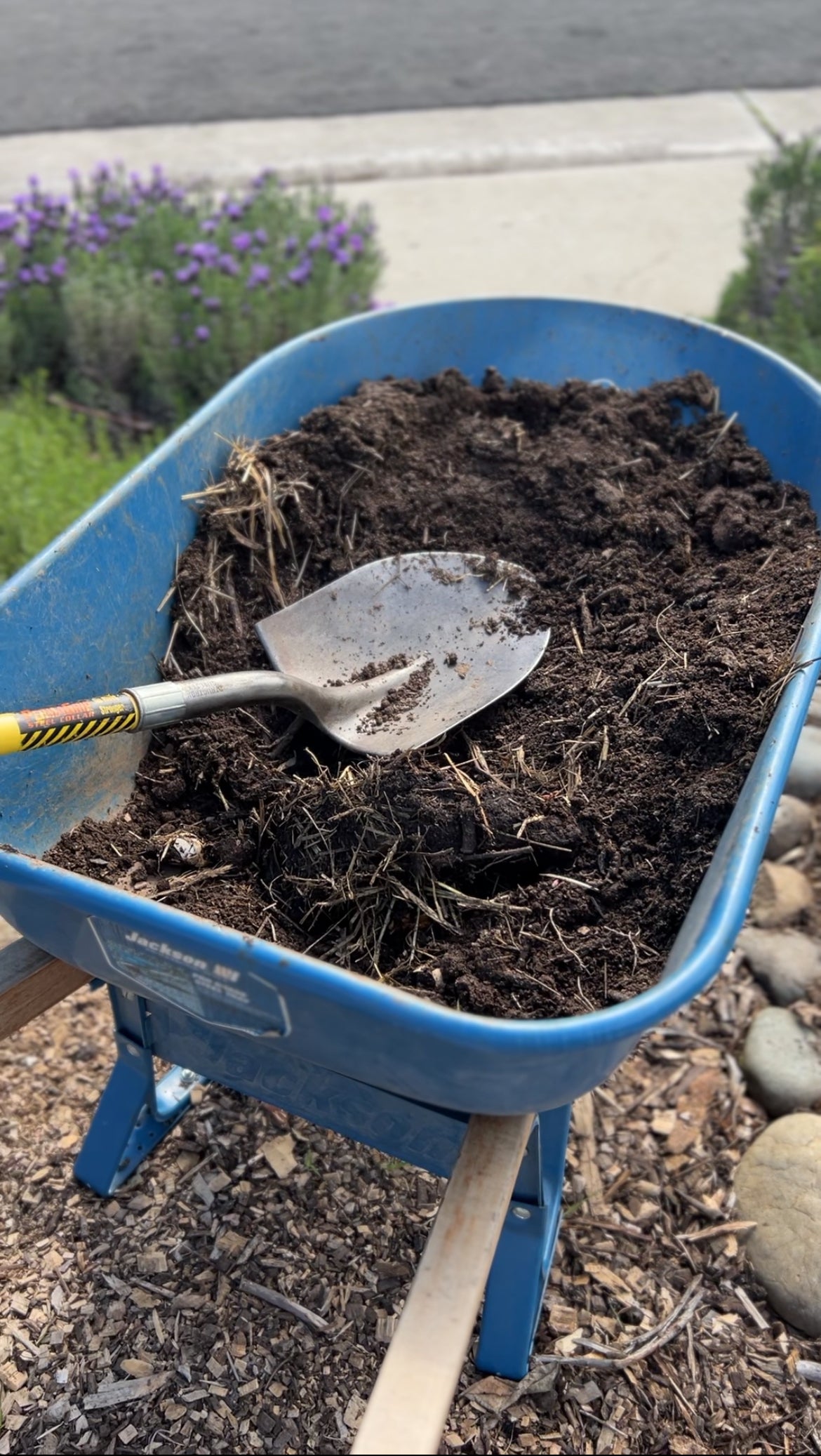 A blue wheelbarrow filled with dark soil and straw sits outdoors. A metal shovel with a yellow handle rests on top of the soil. Rocks and greenery are visible in the background.