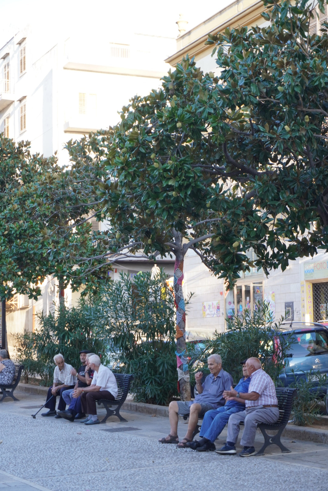 Elderly people sit and converse on benches under leafy trees along a sunlit street with buildings, parked cars, and greenery in the background.