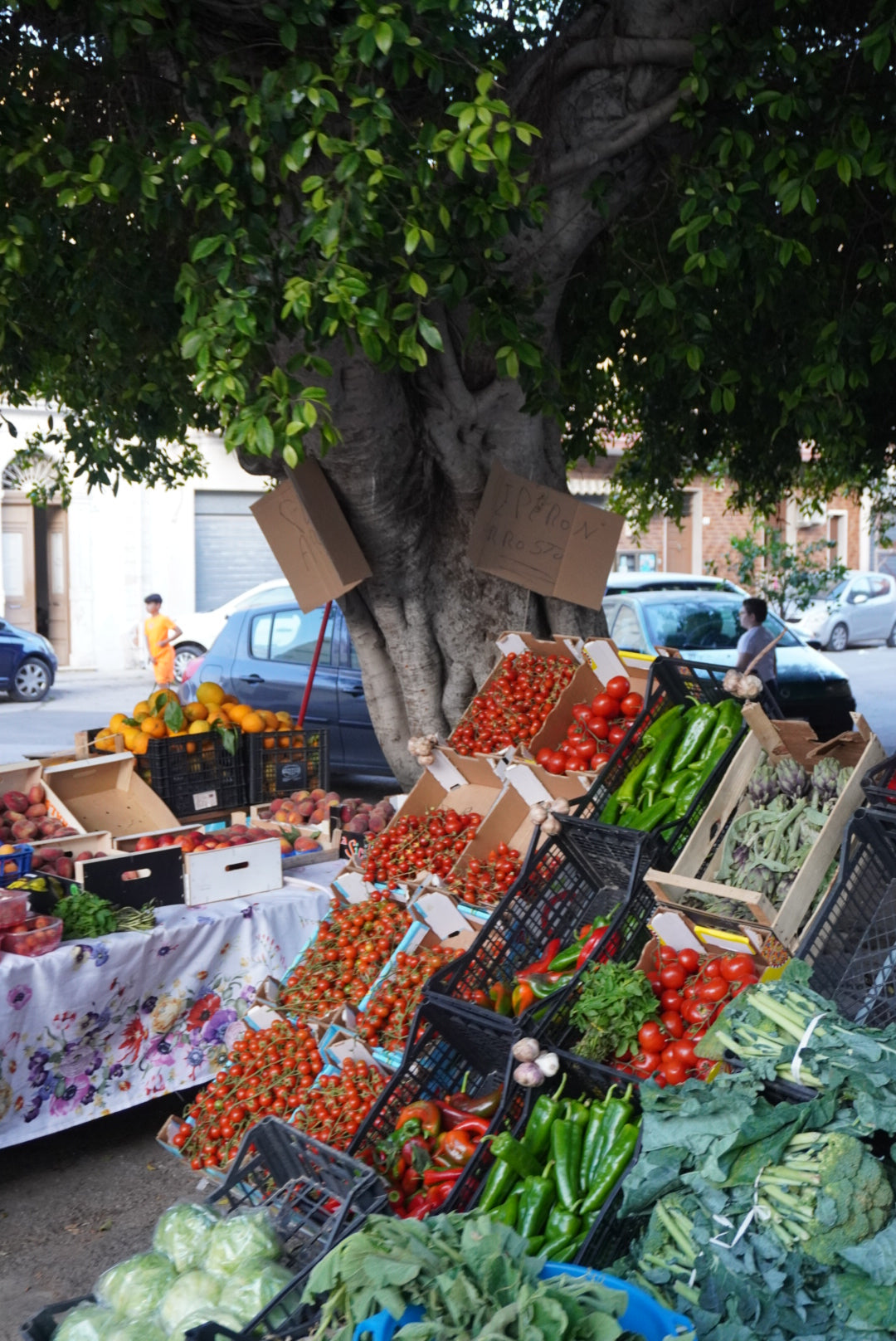 A colorful outdoor market stall displays crates of fresh vegetables, including tomatoes, peppers, eggplants, and greens, under a large leafy tree. Cars and a person are visible in the background.
