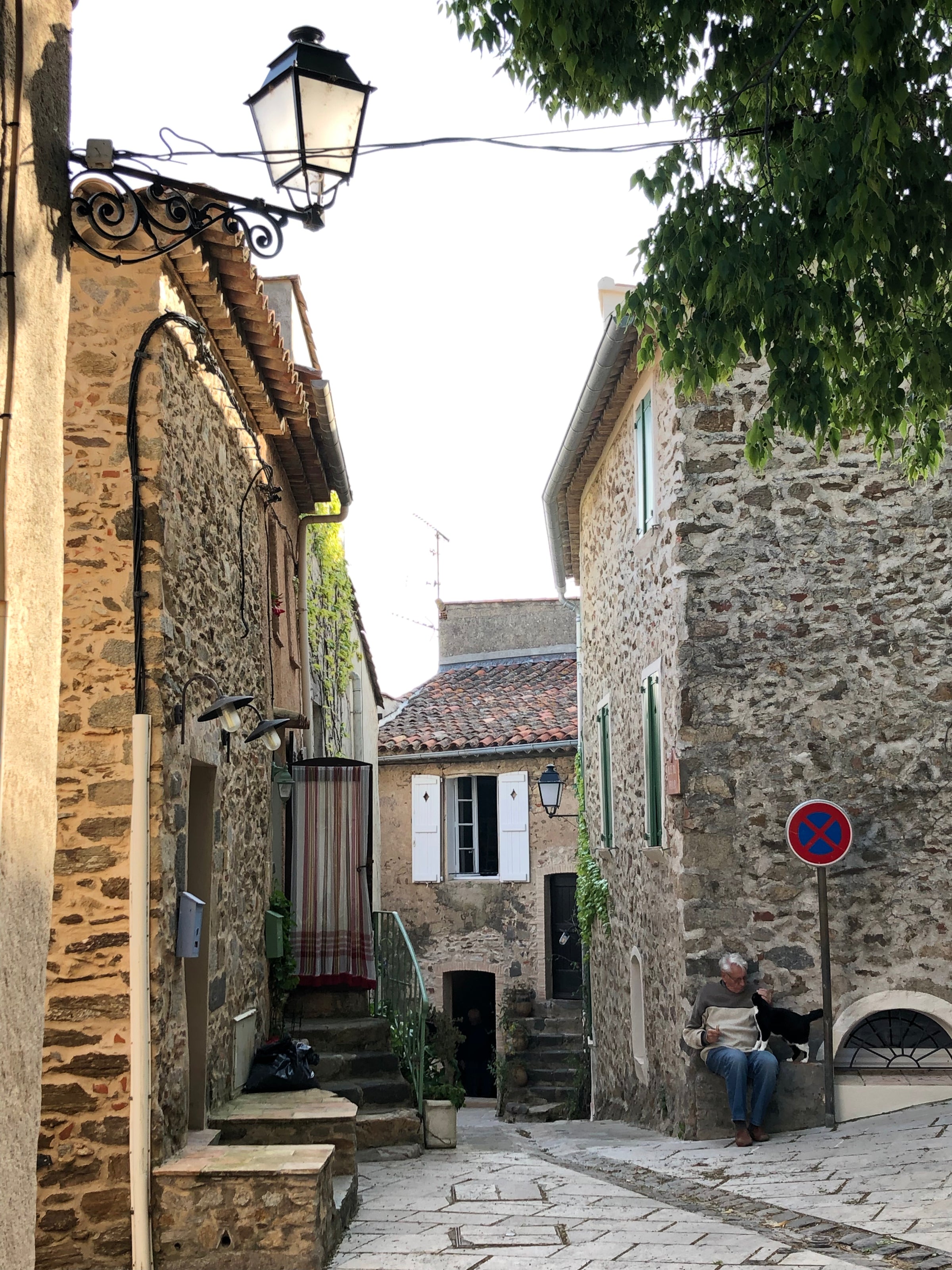 A narrow cobblestone street lined with stone buildings, green shutters, and a streetlamp; a man sits on the steps playing with a black cat near a no parking sign under the shade of a large tree.