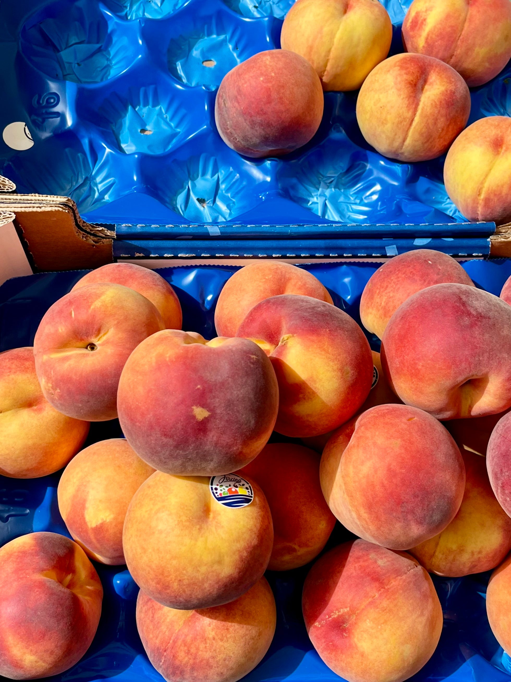 A pile of ripe peaches with yellow and red skin rests in a blue plastic tray at a market. Some peaches have produce stickers, and sunlight highlights their fuzzy texture.