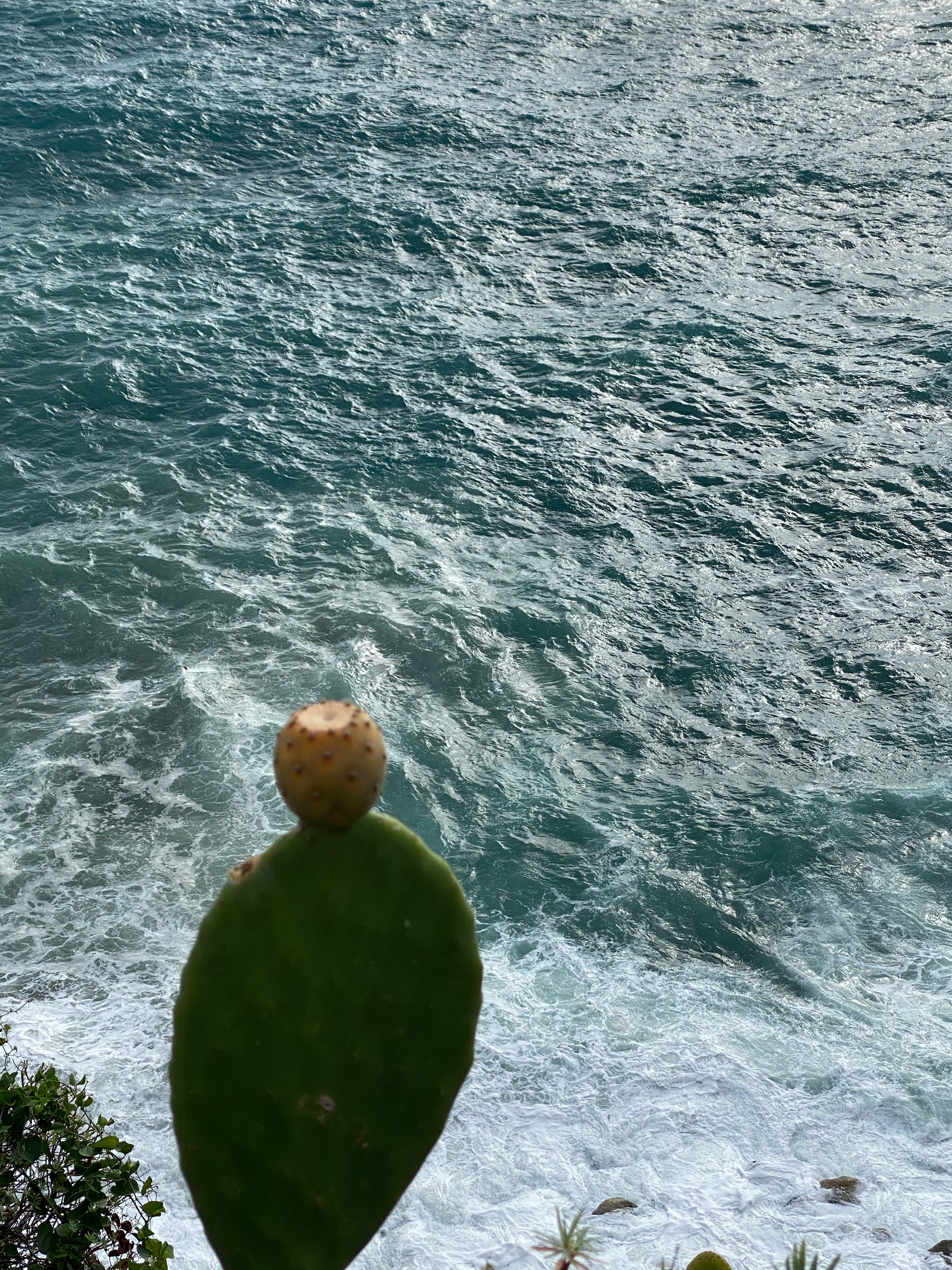 Travel lifestyle image
