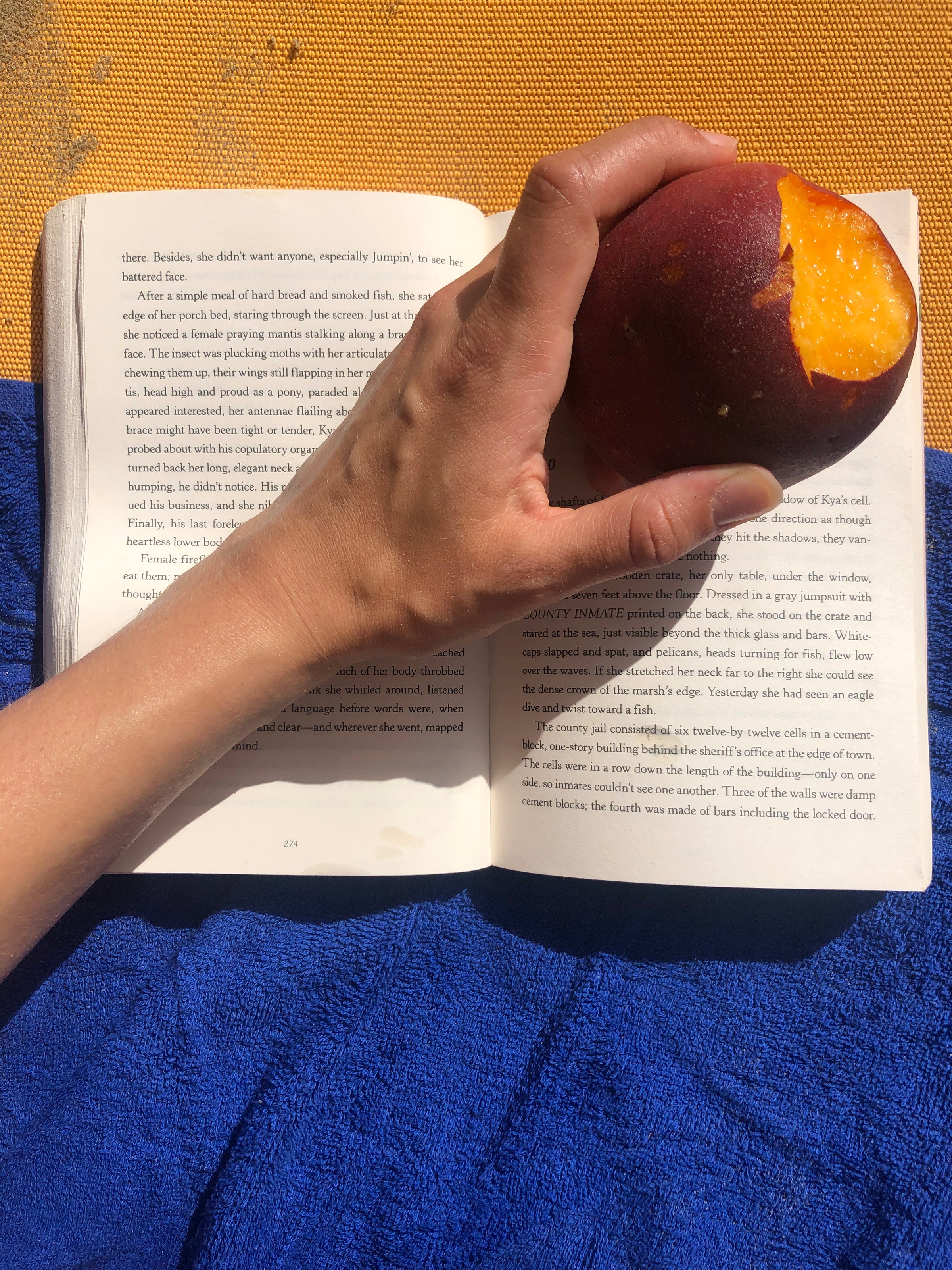 Travel preparation image
