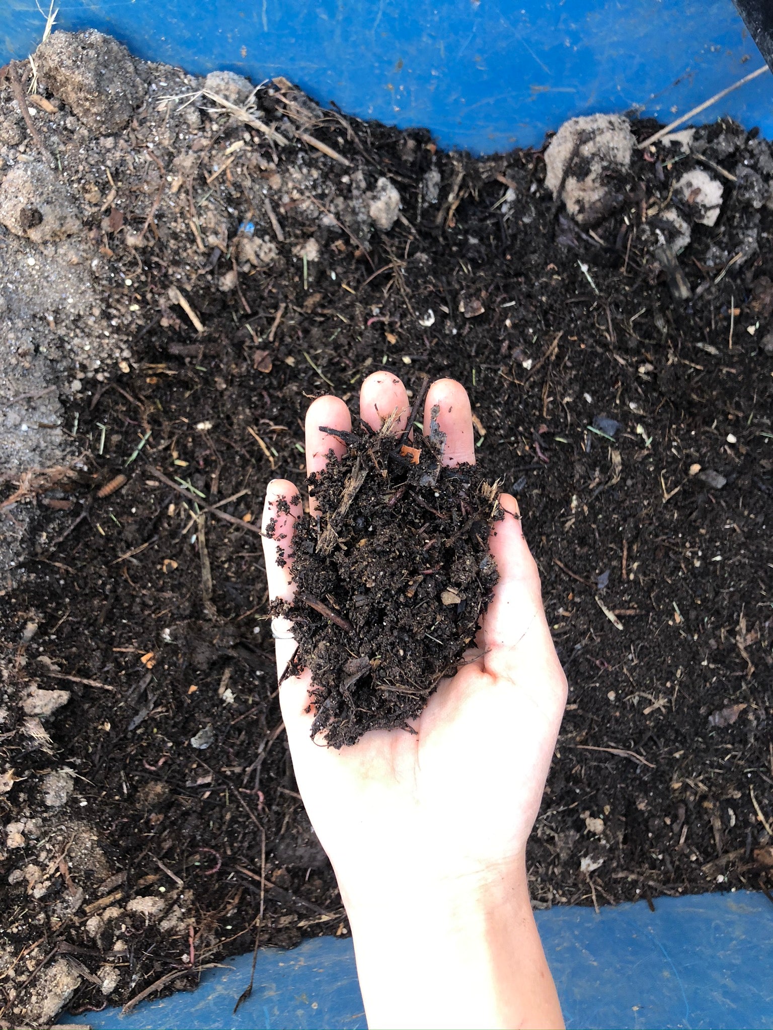 A hand holding a small pile of dark, rich soil or compost over a larger container filled with more soil, showing a close-up of the texture and organic material.