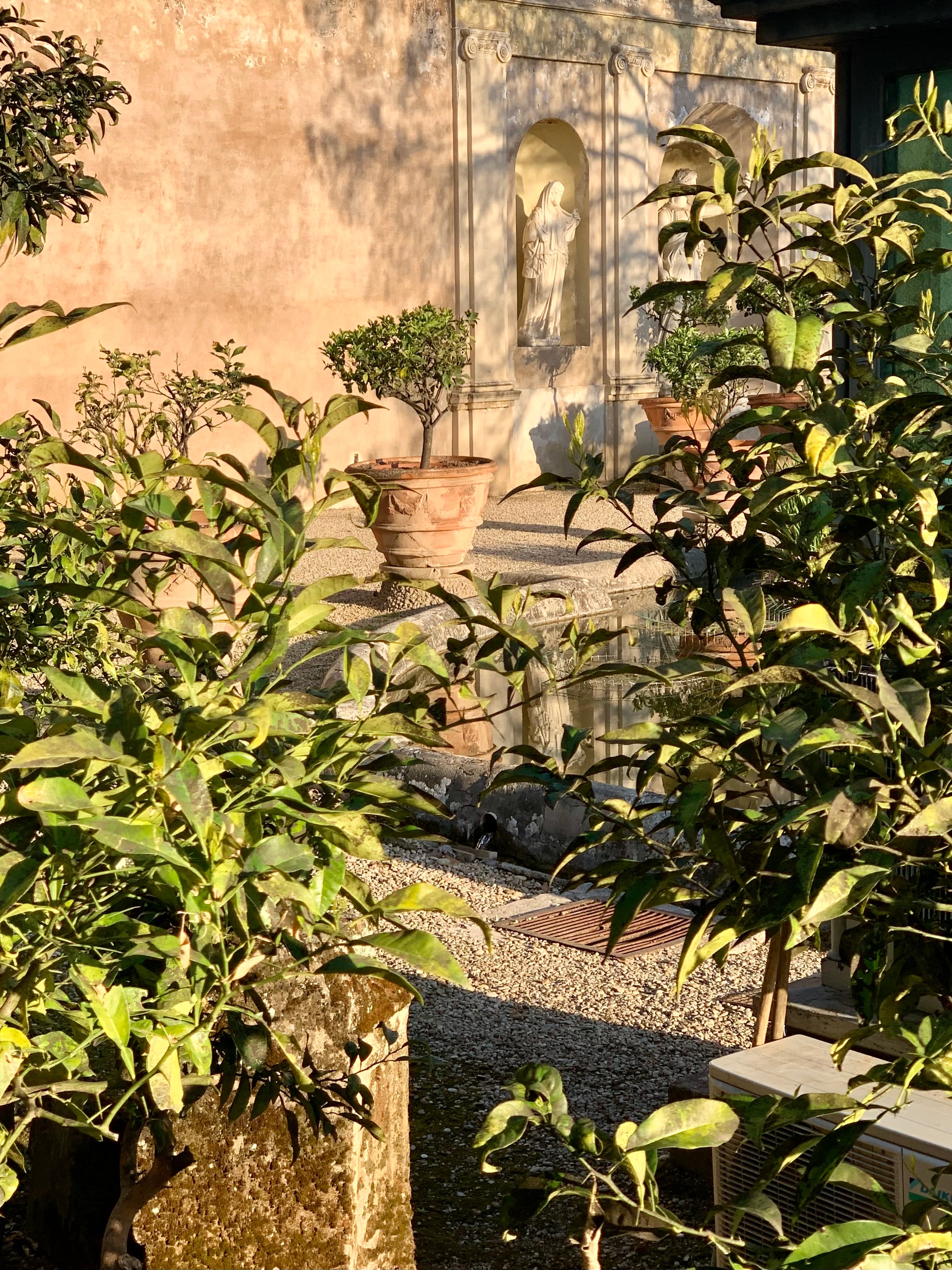 Sunlight illuminates a garden with potted plants and green foliage in the foreground, a stone wall with a classical statue in a niche in the background, and shadows creating a warm, peaceful atmosphere.
