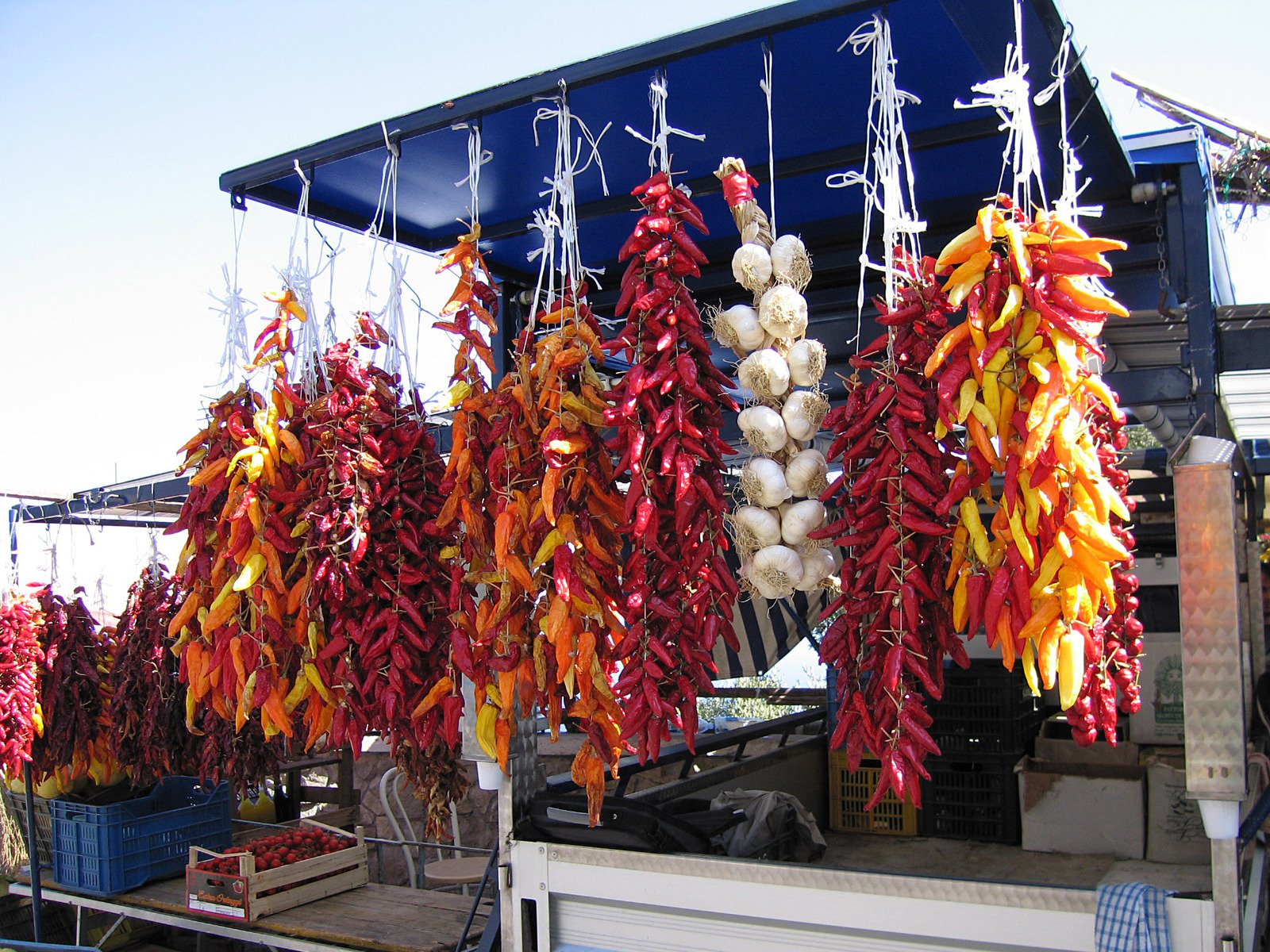 Ristras of red, orange, and yellow chili peppers and a bunch of garlic bulbs hang from a blue canopy at an outdoor market stall. Boxes of produce are visible in the background.