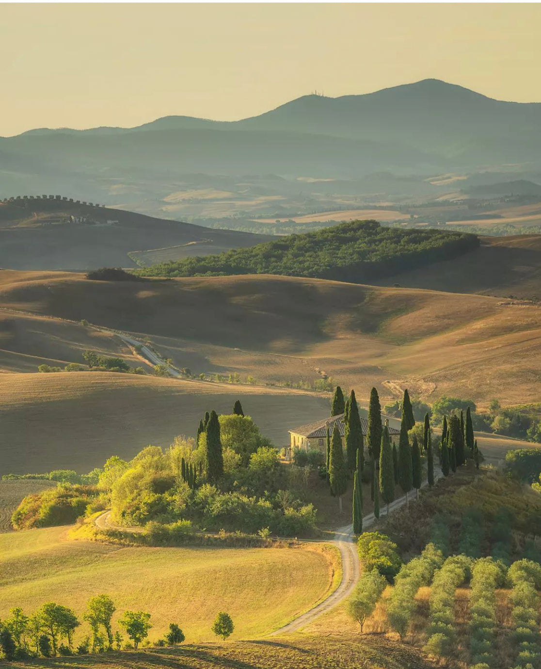 A winding road leads to a house surrounded by tall cypress trees amid rolling golden hills, with distant mountains under a hazy sky in the Tuscan countryside.