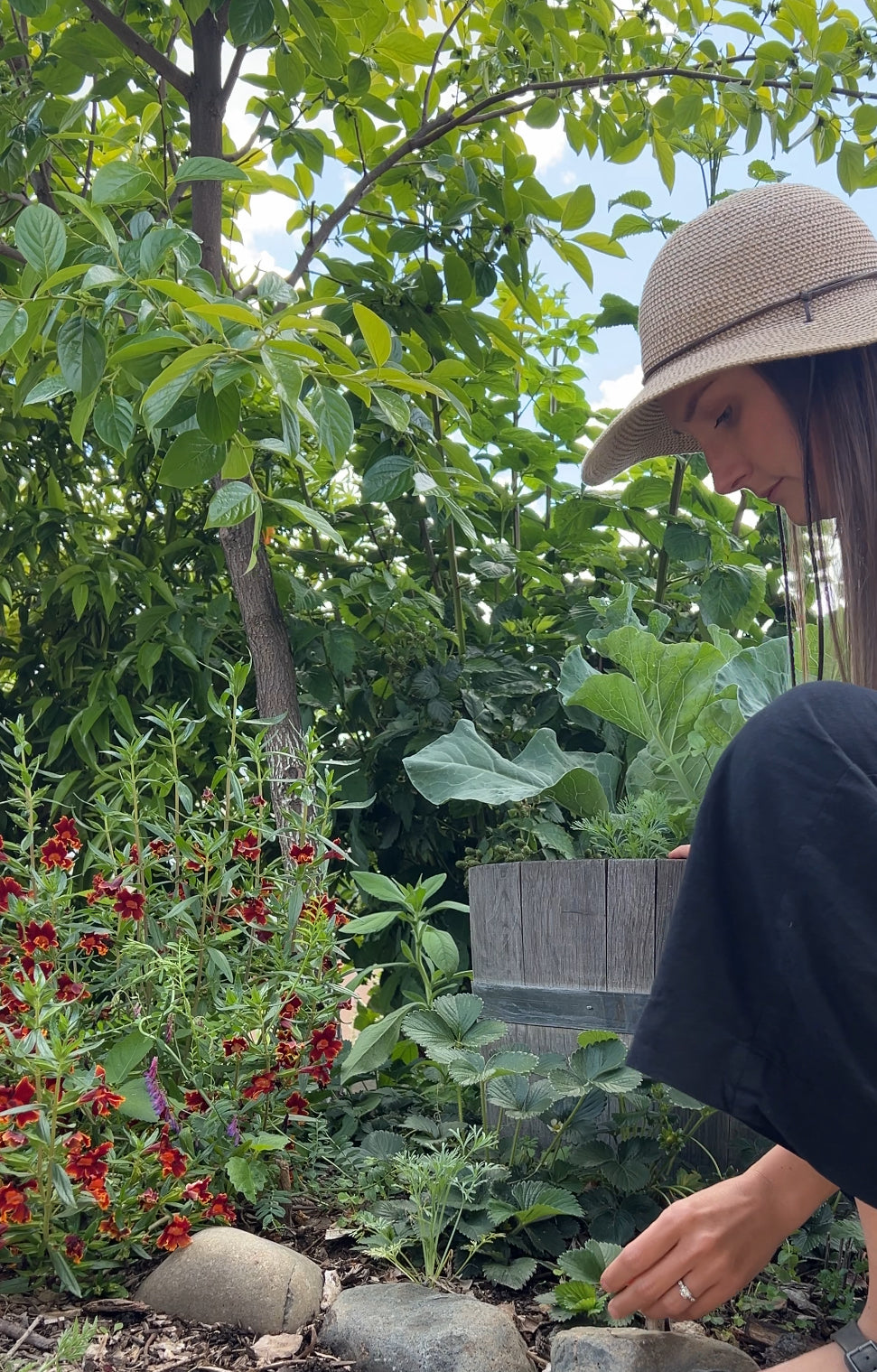 A woman wearing a straw hat kneels in a lush garden, tending to plants. Red flowers bloom nearby, and green foliage surrounds her under a partly cloudy sky.