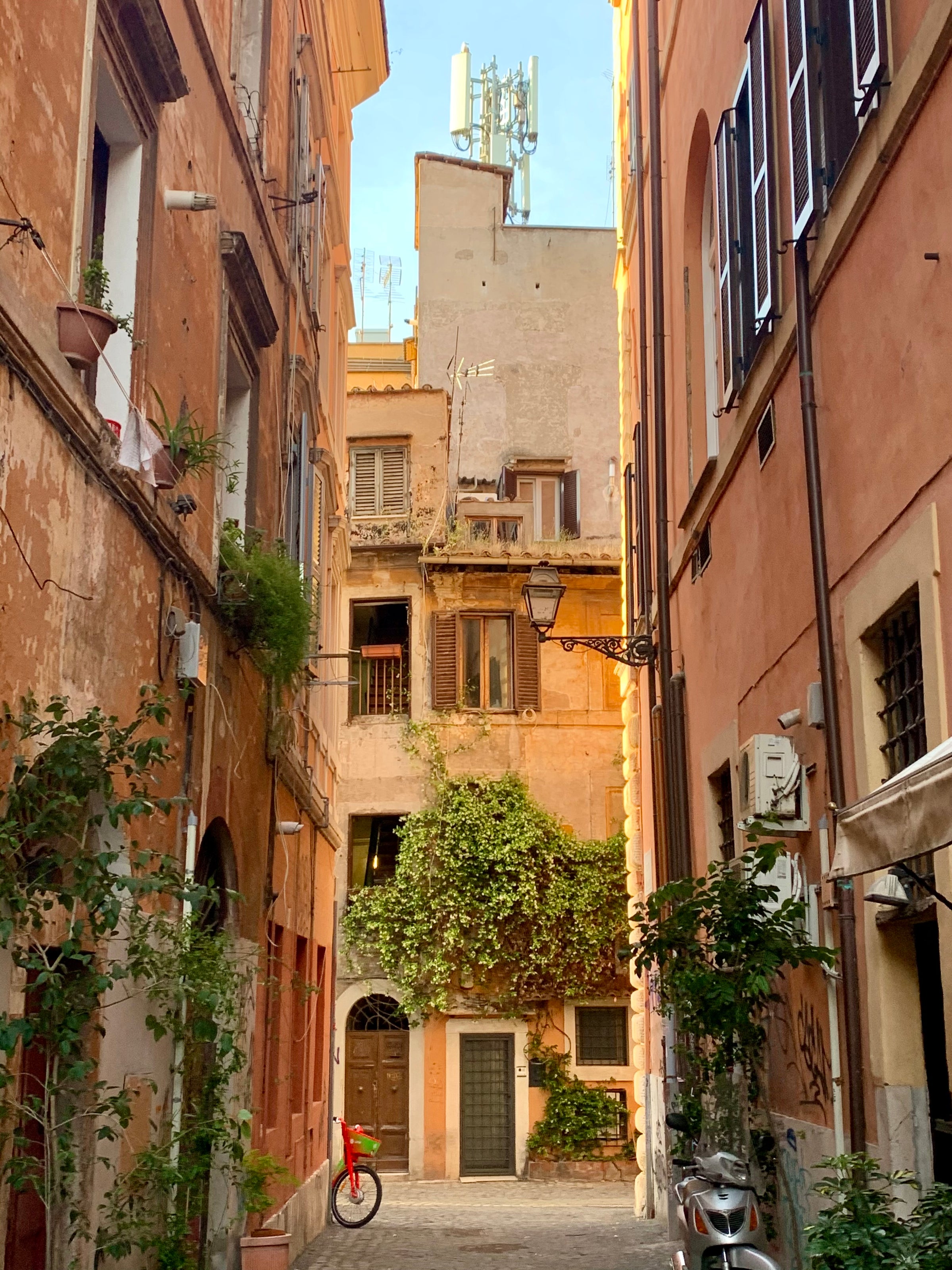 A narrow cobblestone alley lined with tall, weathered buildings in warm tones, covered with green vines. A red bicycle is parked near a door, and sunlight brightens the scene.