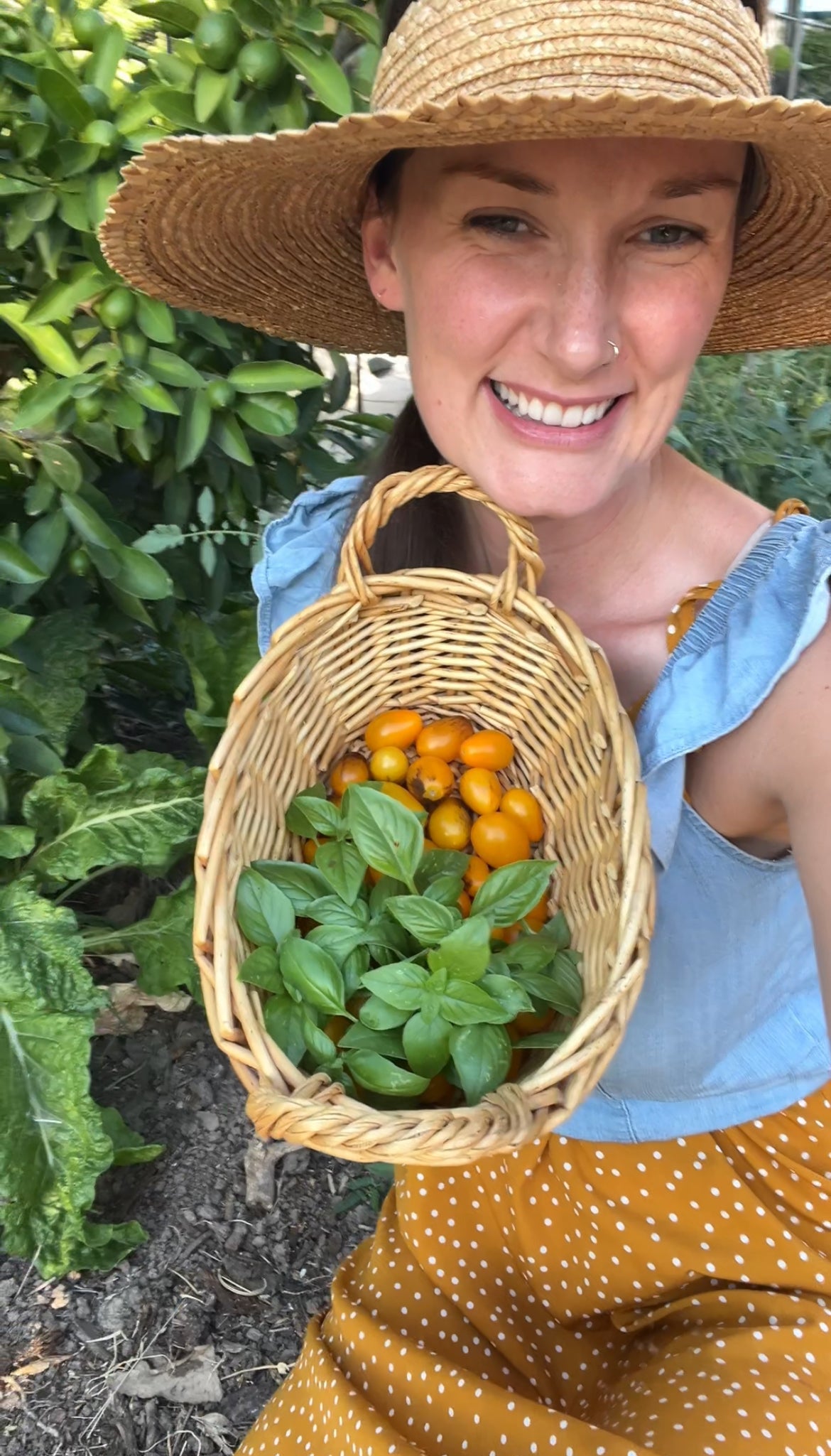 A smiling person in a wide-brimmed hat holds a wicker basket filled with yellow cherry tomatoes and fresh basil leaves, standing in a lush garden.