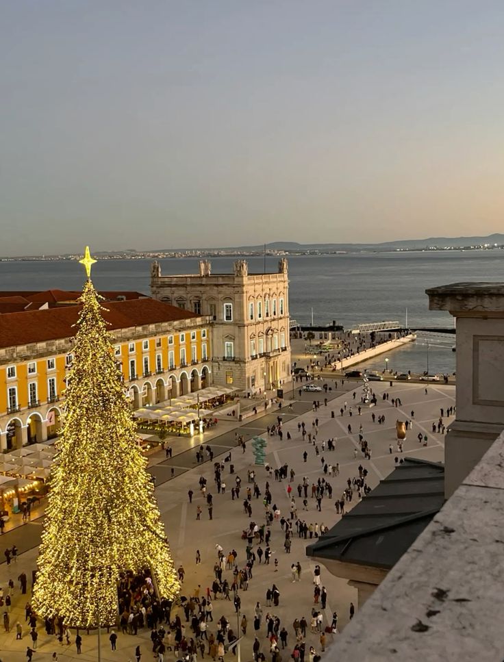 A large, illuminated Christmas tree stands in the center of a busy plaza by the waterfront, with people walking around and historic buildings in the background during sunset.