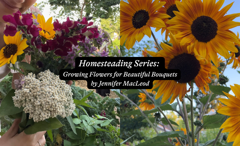 Homesteading Series: Growing Flowers for Beautiful Bouquets