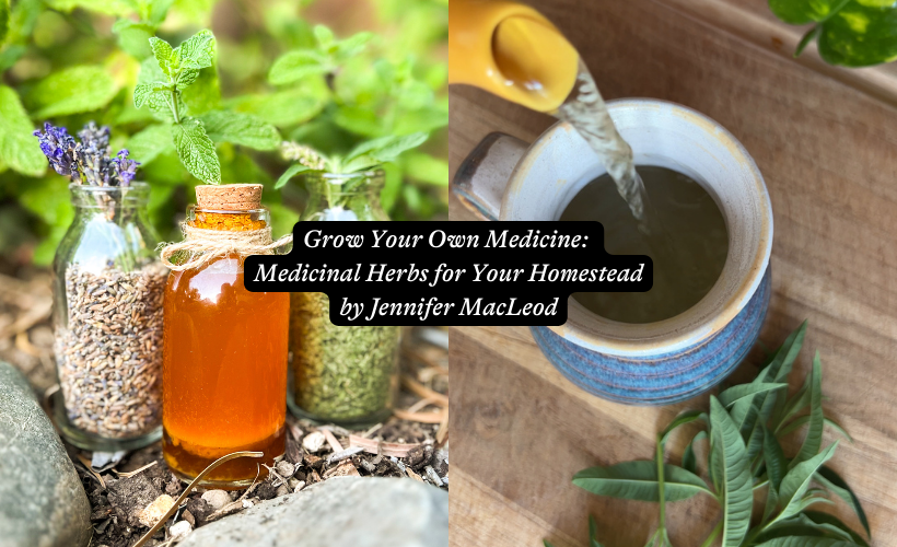 Grow Your Own Medicine: Medicinal Herbs for Your Homestead