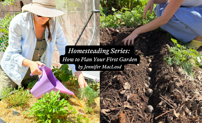 Homesteading Series: How to Plan Your First Garden