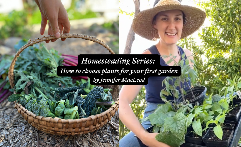 Homesteading Series: How to choose plants for your first garden