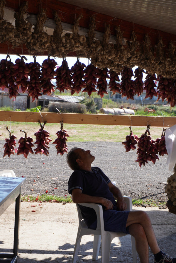 How to do your groceries like a Mediterranean