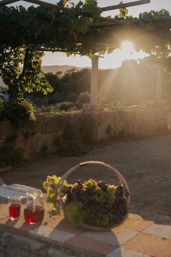 How to Keep Wine Fresh After Opening: A Practical Guide