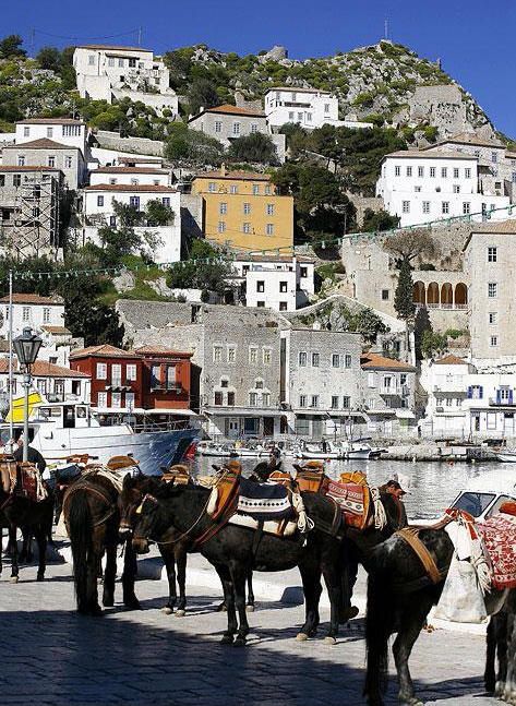 Car-free and Care-free