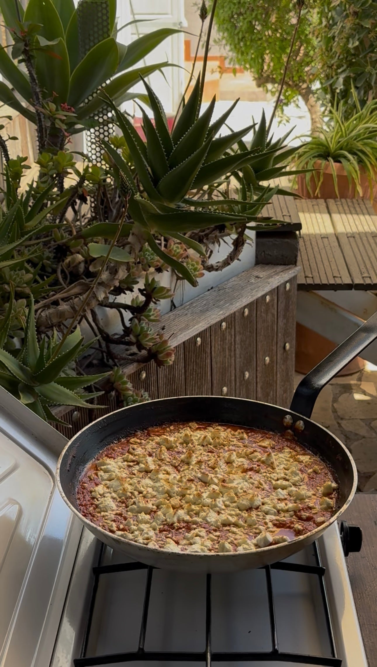 Shrimp Saganaki
