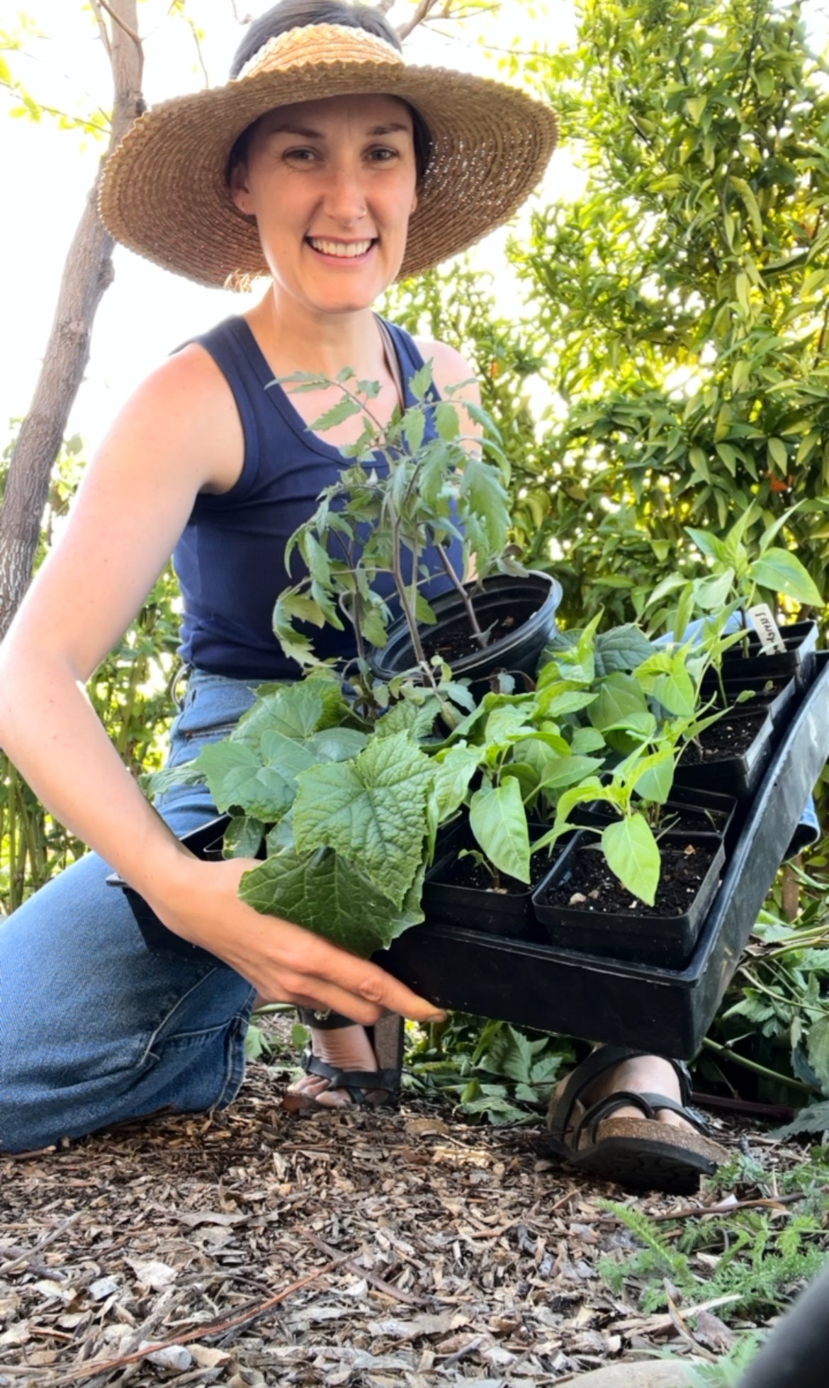 Preparing the Fall Garden