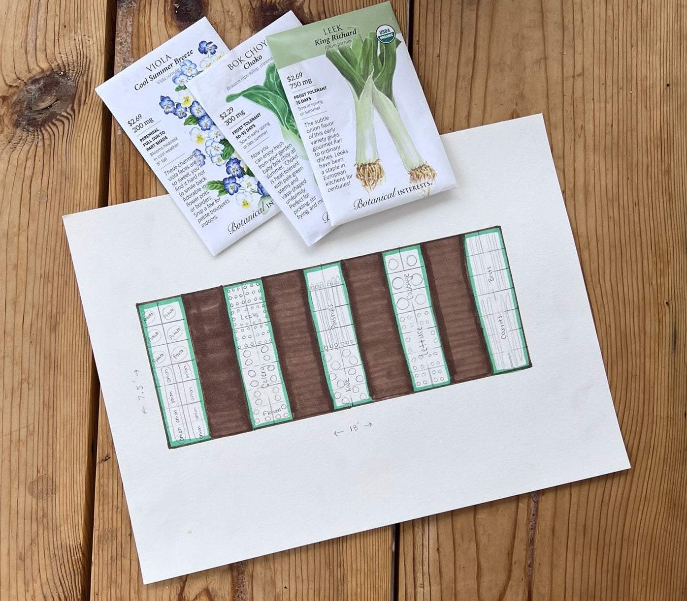 How to Plan Your First Garden