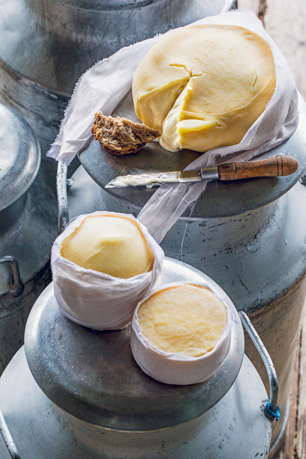 Formaggio, Fromage, Τυρί, Queijo, Queso