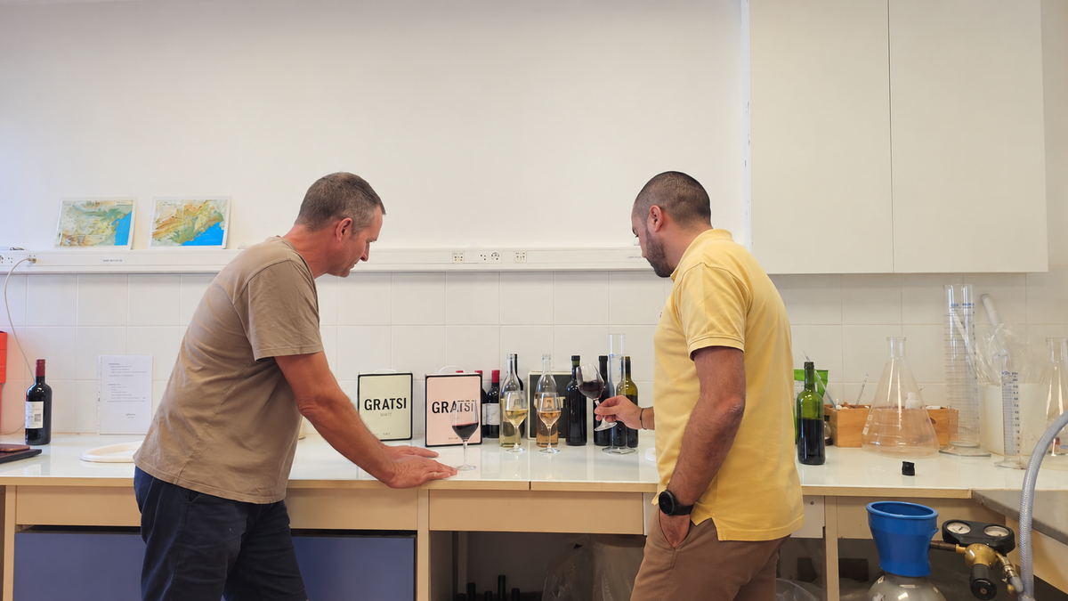 How Gratsi Wine Gets Made: From the Hills of the Mediterranean to Your Door