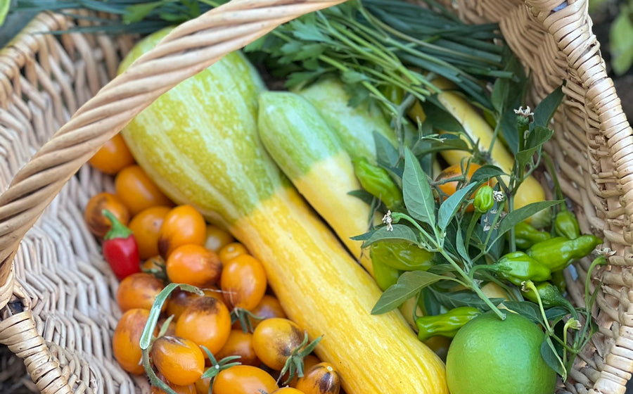 Simple Dinners from the Garden