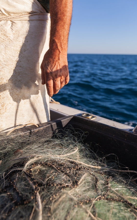Italy's Blue Zones: Why People in Sardinia Live to 100