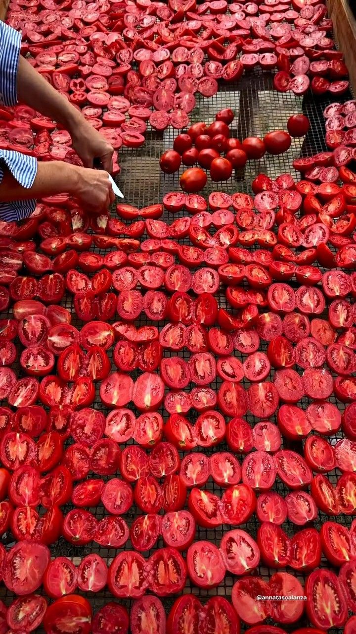 lifestyle cultural image 