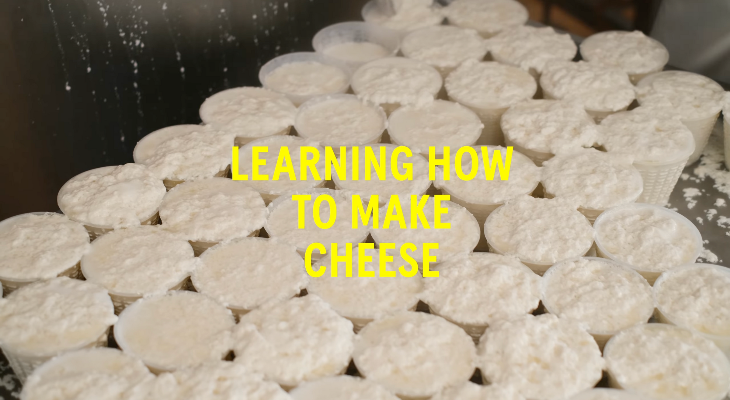 lifestyle cultural image