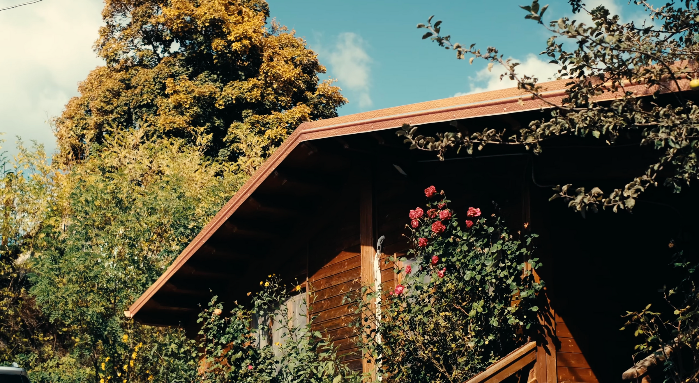 lifestyle cultural image