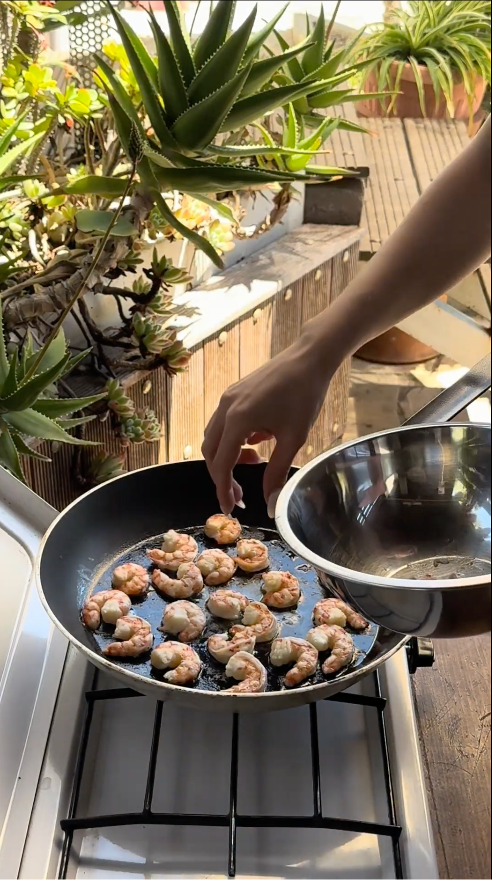 A person cooks shrimp in a frying pan on a stove, holding a metal bowl. Green potted plants and sunlight are visible in the background, creating a fresh and natural kitchen setting.