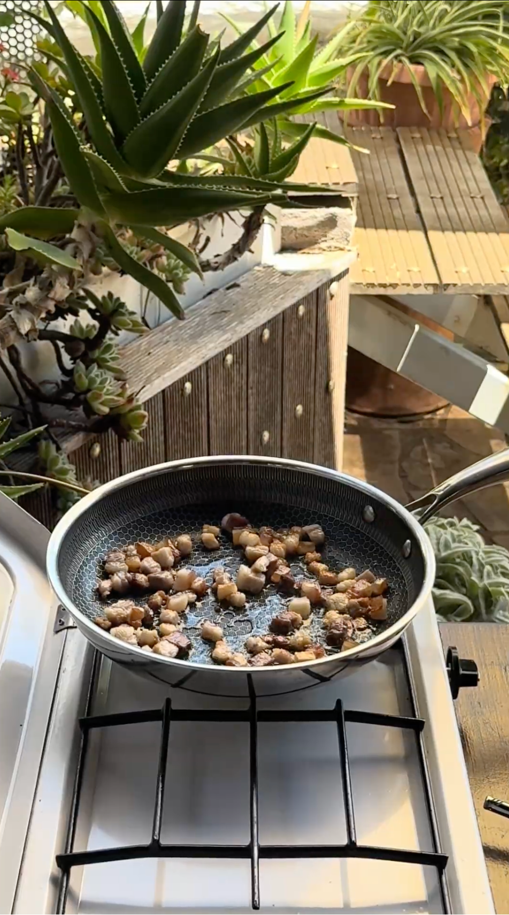 A frying pan with chopped bacon cooks on a stove beside green succulents on a sunny outdoor patio.
