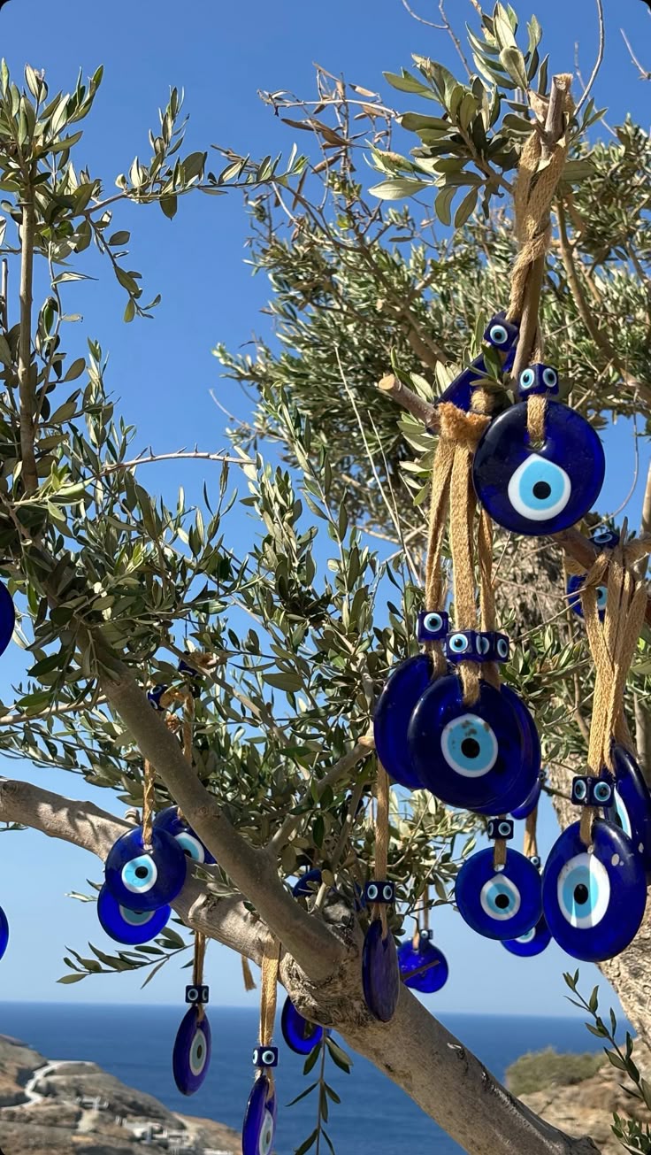 Blue glass evil eye charms hang from the branches of an olive tree, with the blue sky and sea in the background.