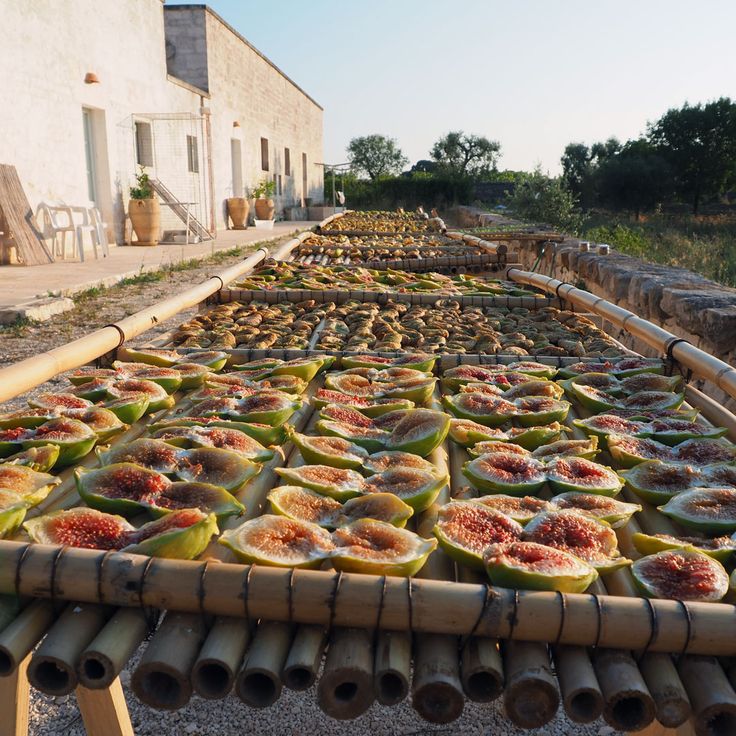 lifestyle cultural image 