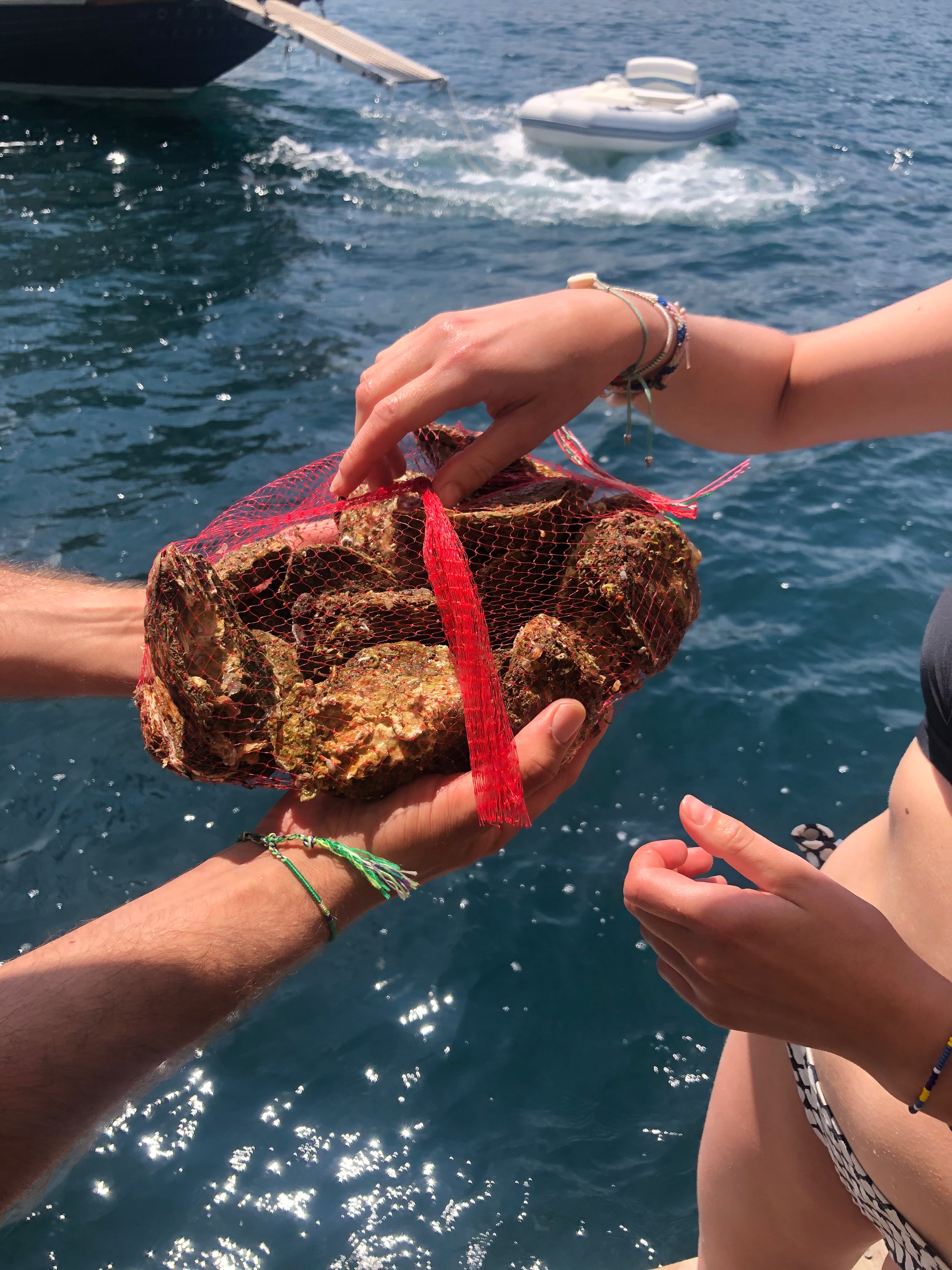 Two people hold a red mesh bag filled with oysters or rocks over the ocean, with a small white boat floating in the background. One person wears a bikini and bracelets on their wrist.
