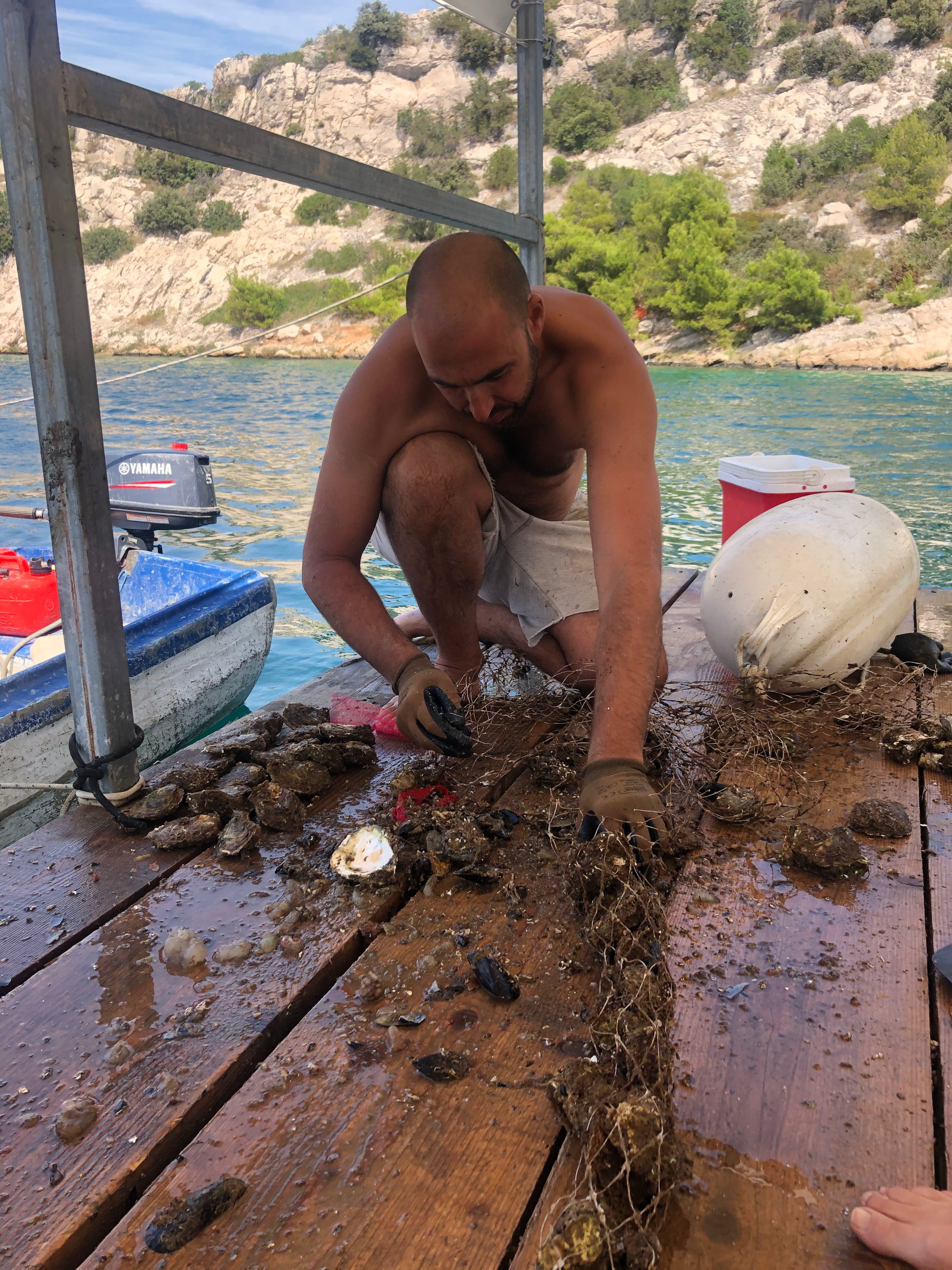 A man in swim trunks and gloves crouches on a wet wooden dock, cleaning or sorting shellfish from a fishing net near the water, with rocky hills and trees in the background.