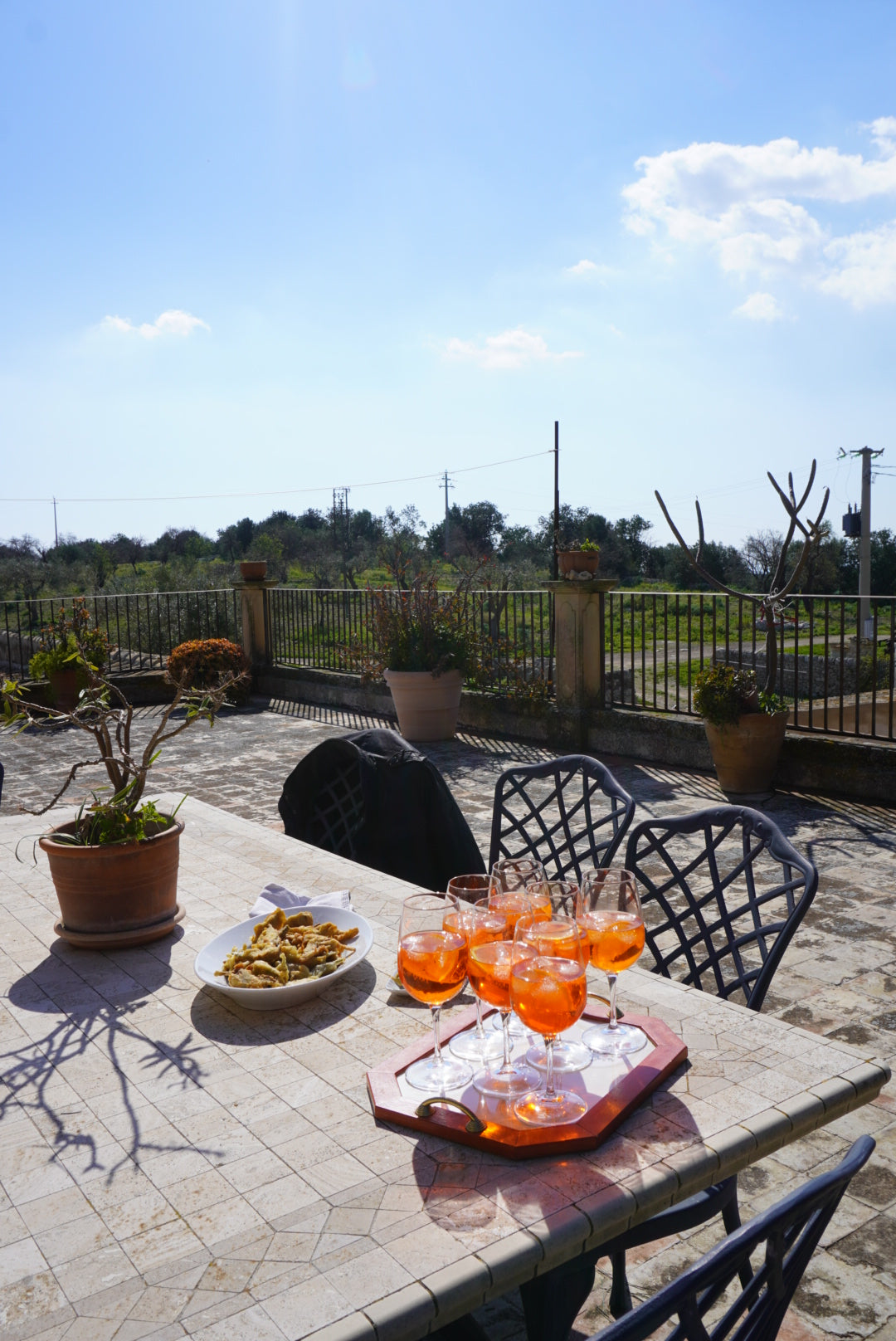 Outdoor patio scene with a table set with six orange drinks and a plate of snacks. There are potted plants on and around the table, metal chairs, and a scenic view of greenery under a blue sky with some clouds.