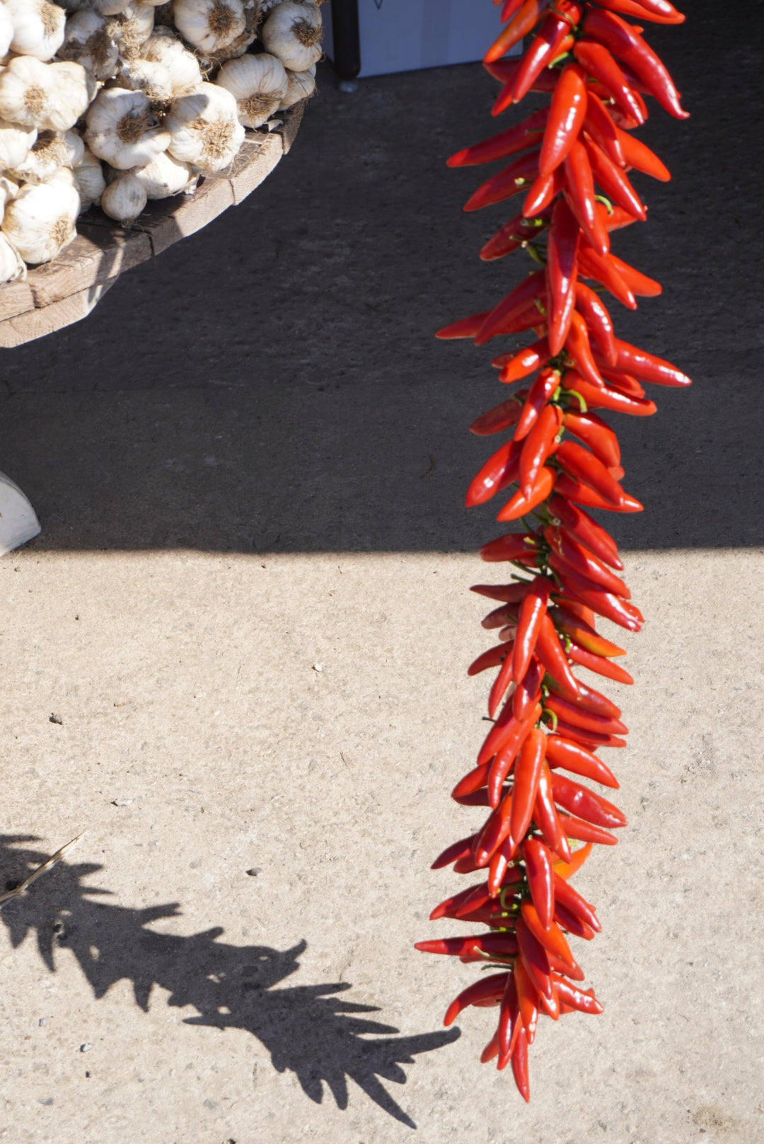 lifestyle cultural image