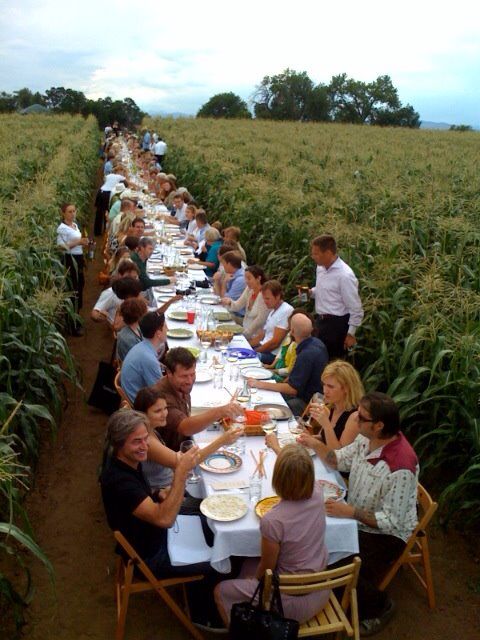 A long table set for a meal stretches through the middle of a cornfield, with many people dining and socializing on both sides among the tall green corn plants.