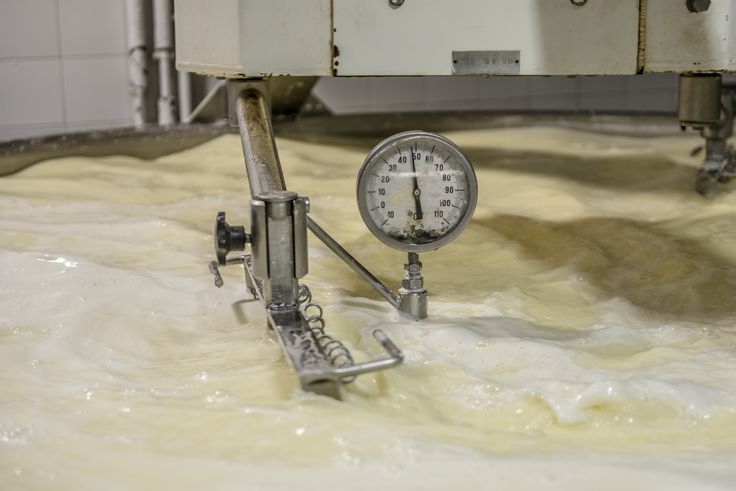 A close-up of a thermometer and metal equipment in a large vat of liquid, possibly milk or cream, inside a dairy or food processing facility. The gauge displays the temperature in Celsius.