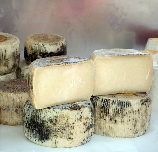 Several large wheels and rectangular blocks of cheese are stacked together. The cheese has a hard, textured rind, some with dark mold spots, and the cut blocks reveal a pale, firm interior.