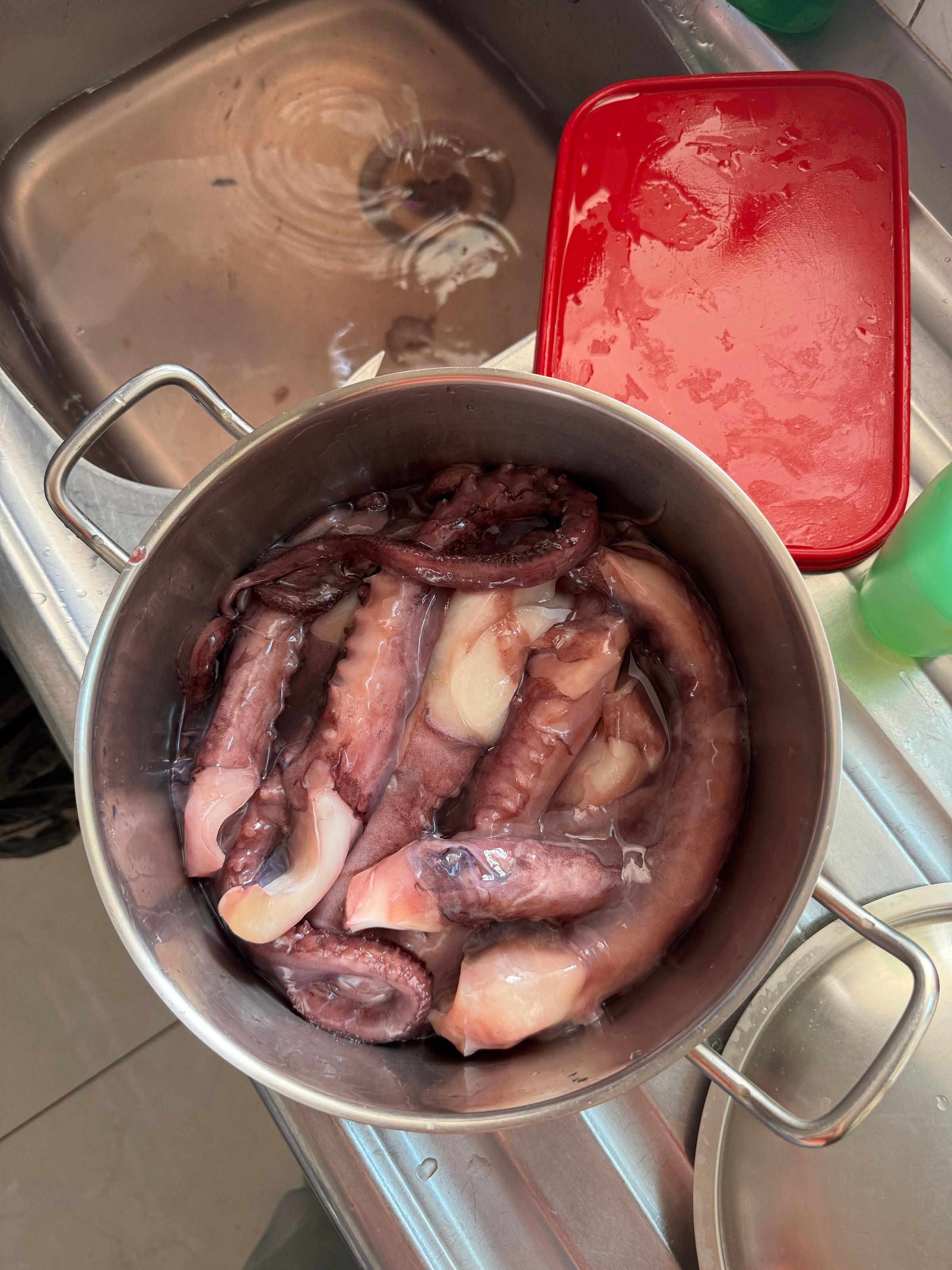 A stainless steel pot filled with raw octopus tentacles submerged in water is placed in a kitchen sink. A red plastic lid and a green item are nearby. The sink has some water and food residue visible.