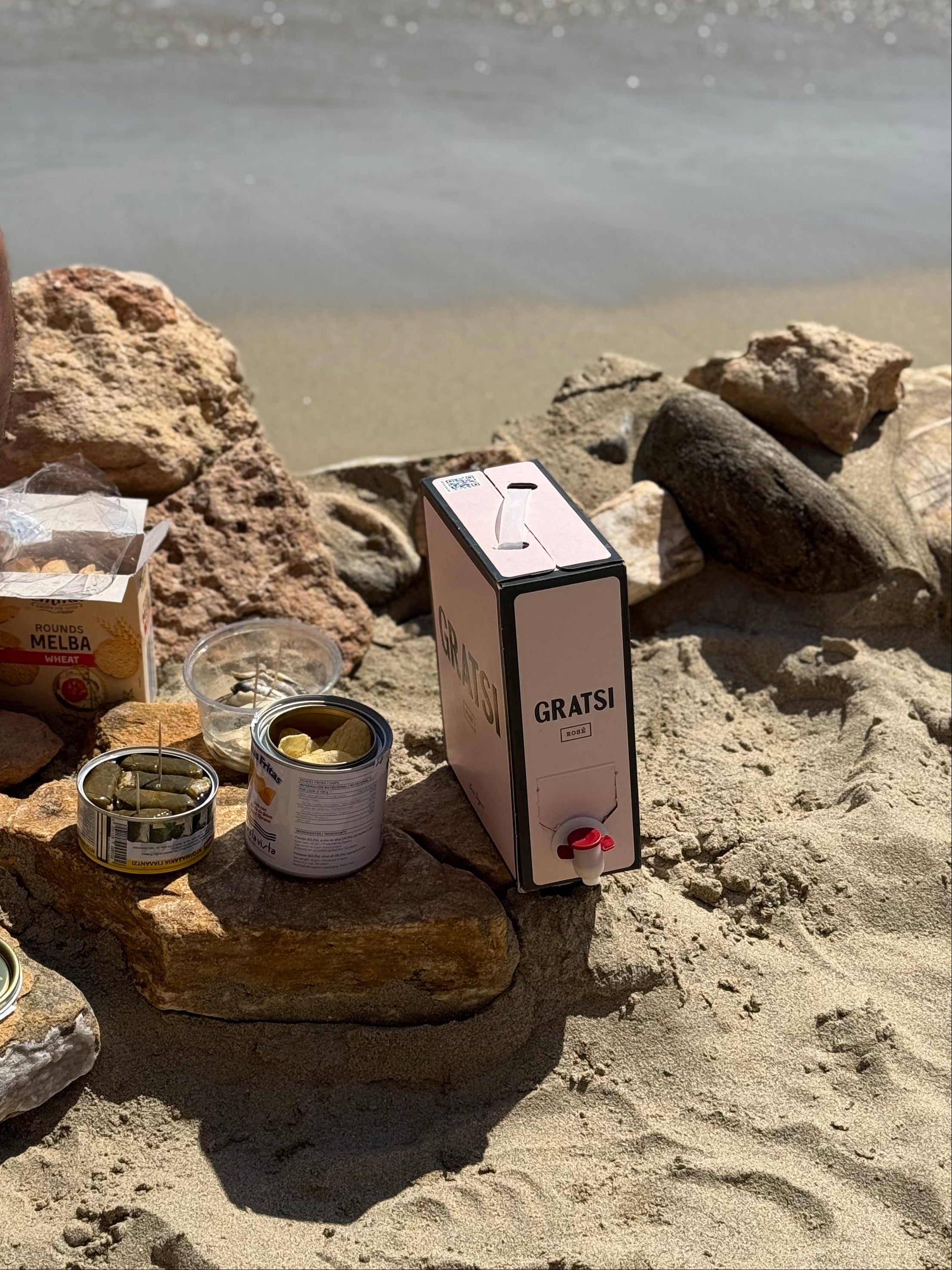 A box labeled “GRATSI” sits on sandy ground by the water, surrounded by rocks, canned food, and Melba toast, suggesting a picnic setting at the beach.