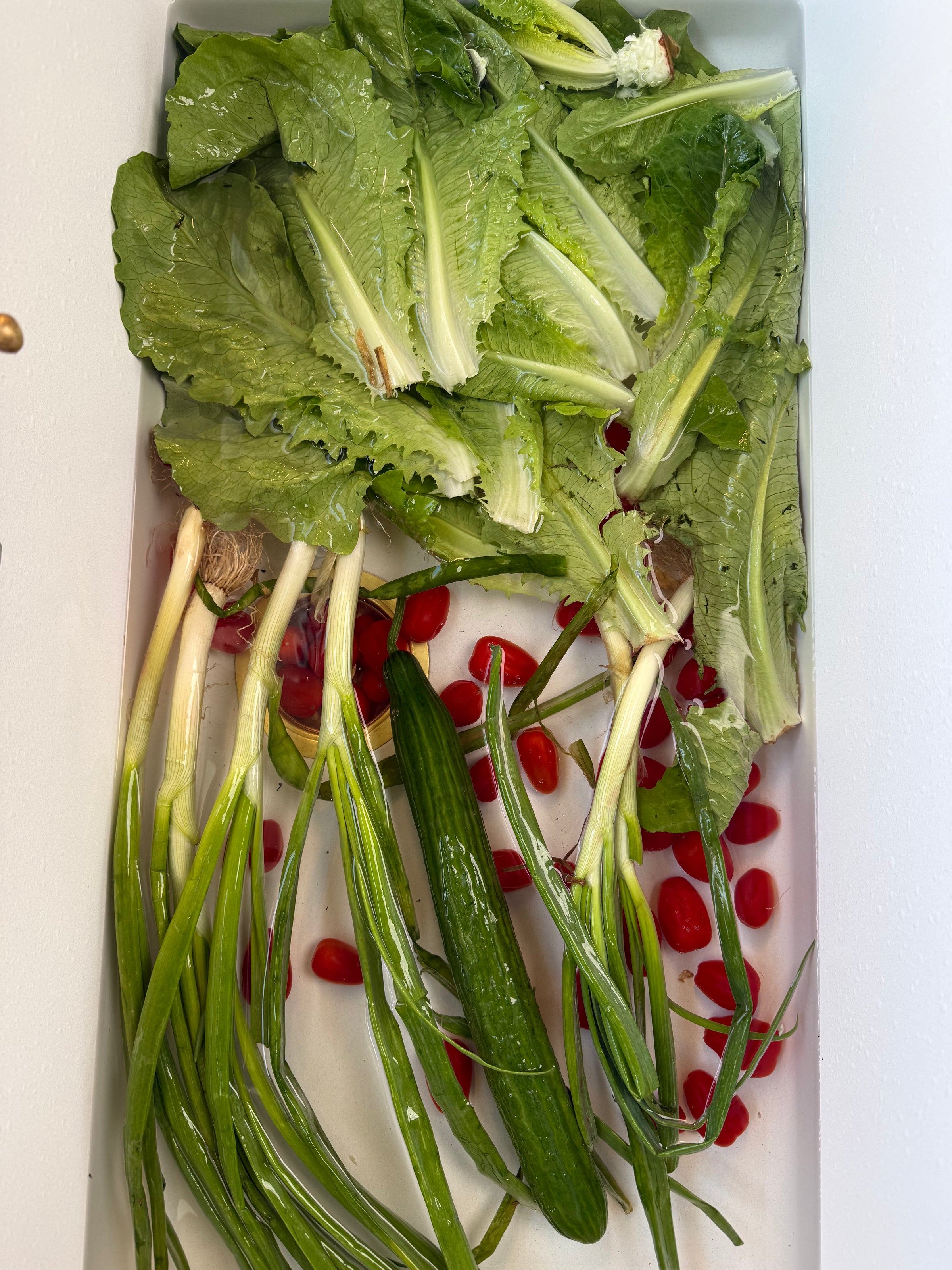 Green onions, romaine lettuce leaves, a cucumber, and small red grape tomatoes are arranged in a white sink, ready to be washed.